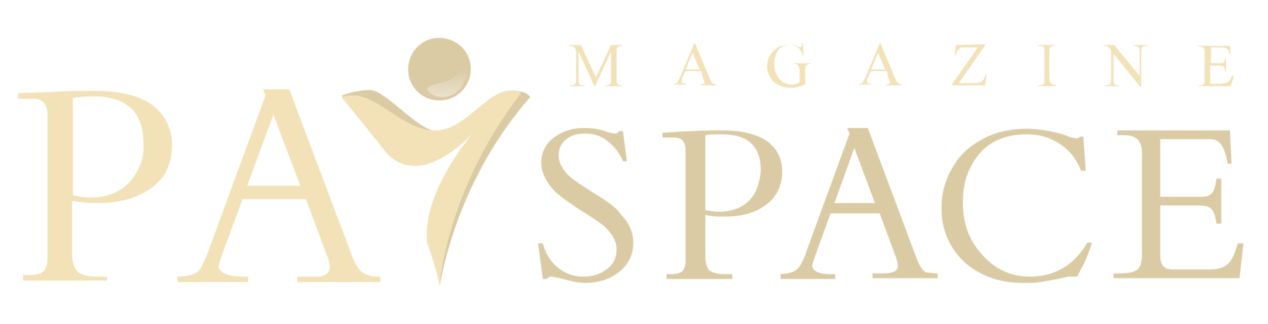 PaySpace Magazine